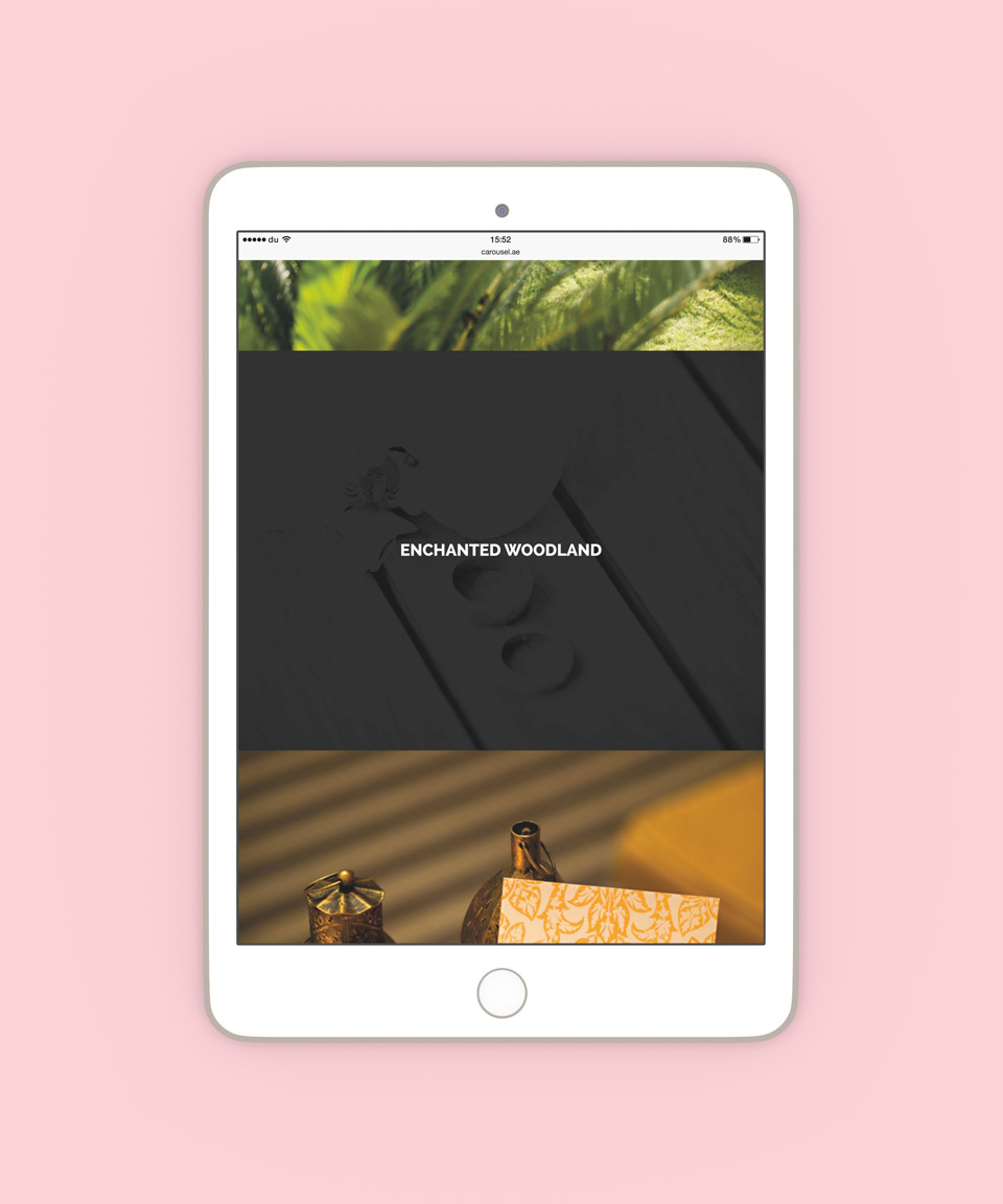 Carousel Digital iPad