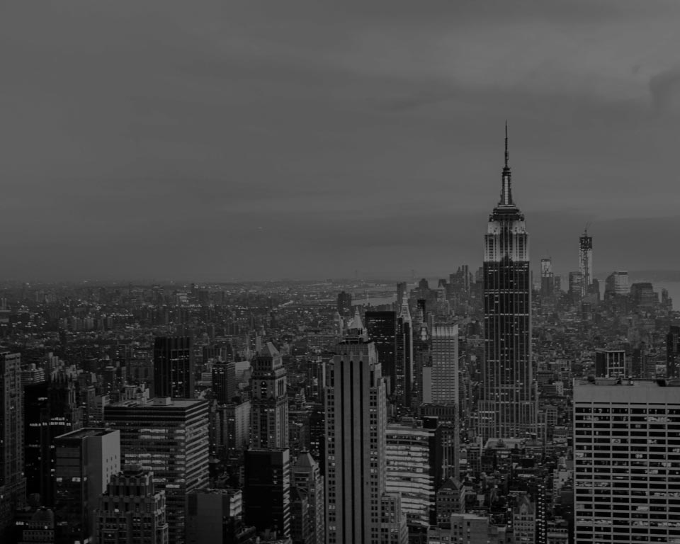 Evolve New York Business Branding